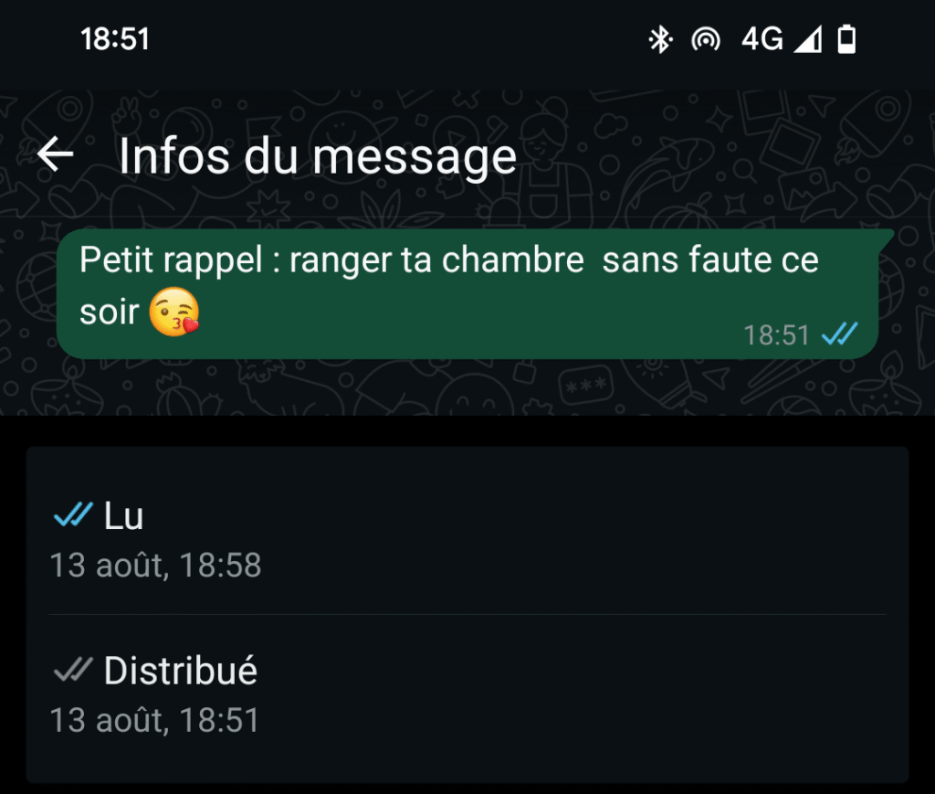 Statut du message sur Whatsapp, avec les deux coches "Vu" et "Reçu"